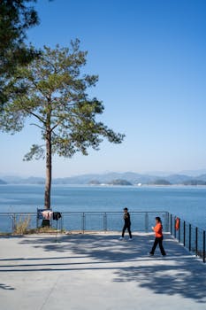 湖人客场逆转火箭,东契奇高效三双助队连胜;詹姆斯伤退仍贡献关键得分。 体育新闻