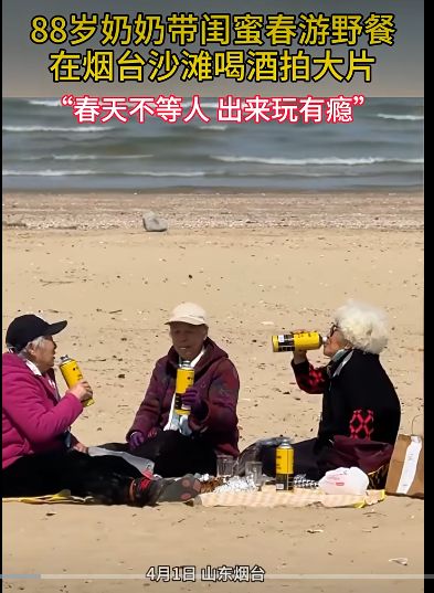 技术赋能下的银发活力:88岁奶奶外卖野餐背后的数字生活洞察 IT技术