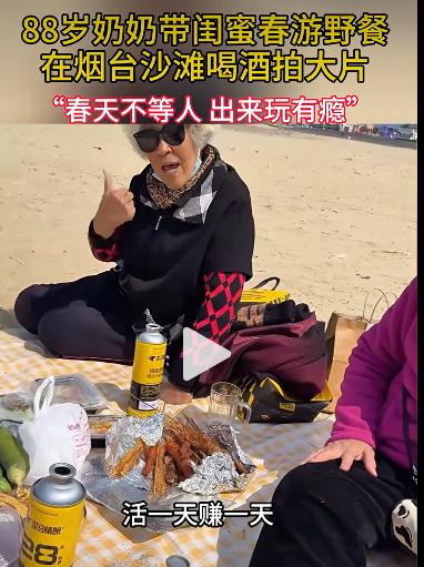 技术赋能下的银发活力:88岁奶奶外卖野餐背后的数字生活洞察 IT技术