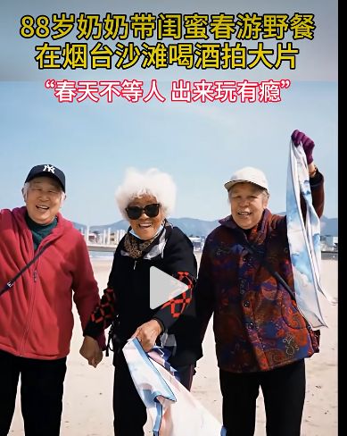 技术赋能下的银发活力:88岁奶奶外卖野餐背后的数字生活洞察 IT技术