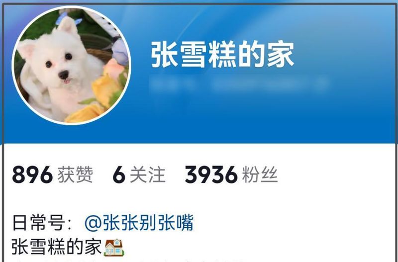  舆论场的死亡游戏：当“蹭流量”成为一门生意 新闻