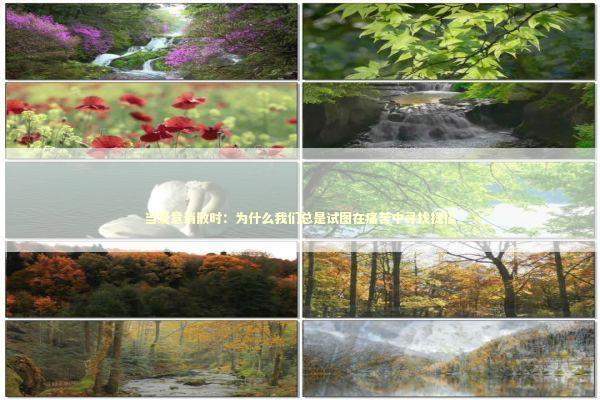 当爱意消散时：为什么我们总是试图在痛苦中寻找捷径