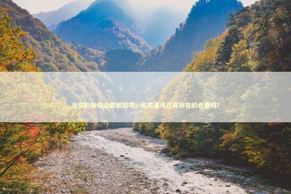 当你的每句话都被围观，私密通讯还有存在的必要吗？ IT技术