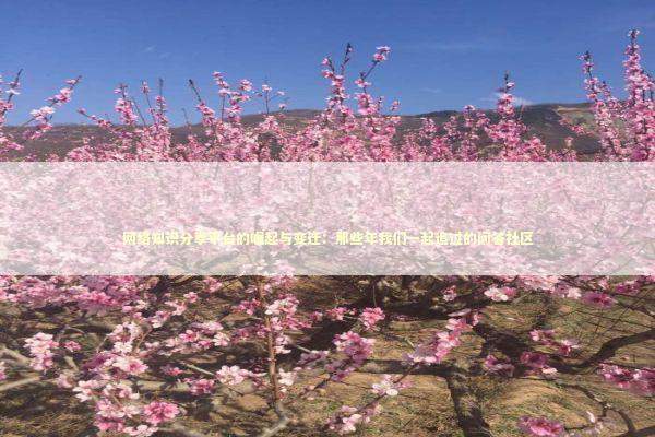 网络知识分享平台的崛起与变迁：那些年我们一起追过的问答社区