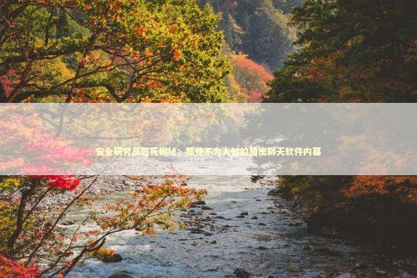 安全研究员冒死揭秘：那些不为人知的加密聊天软件内幕 IT技术