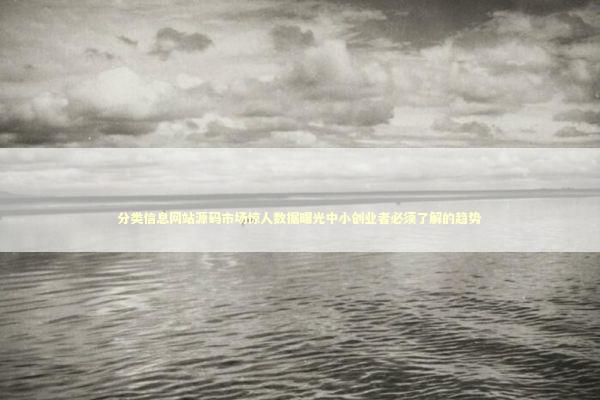 分类信息网站源码市场惊人数据曝光中小创业者必须了解的趋势